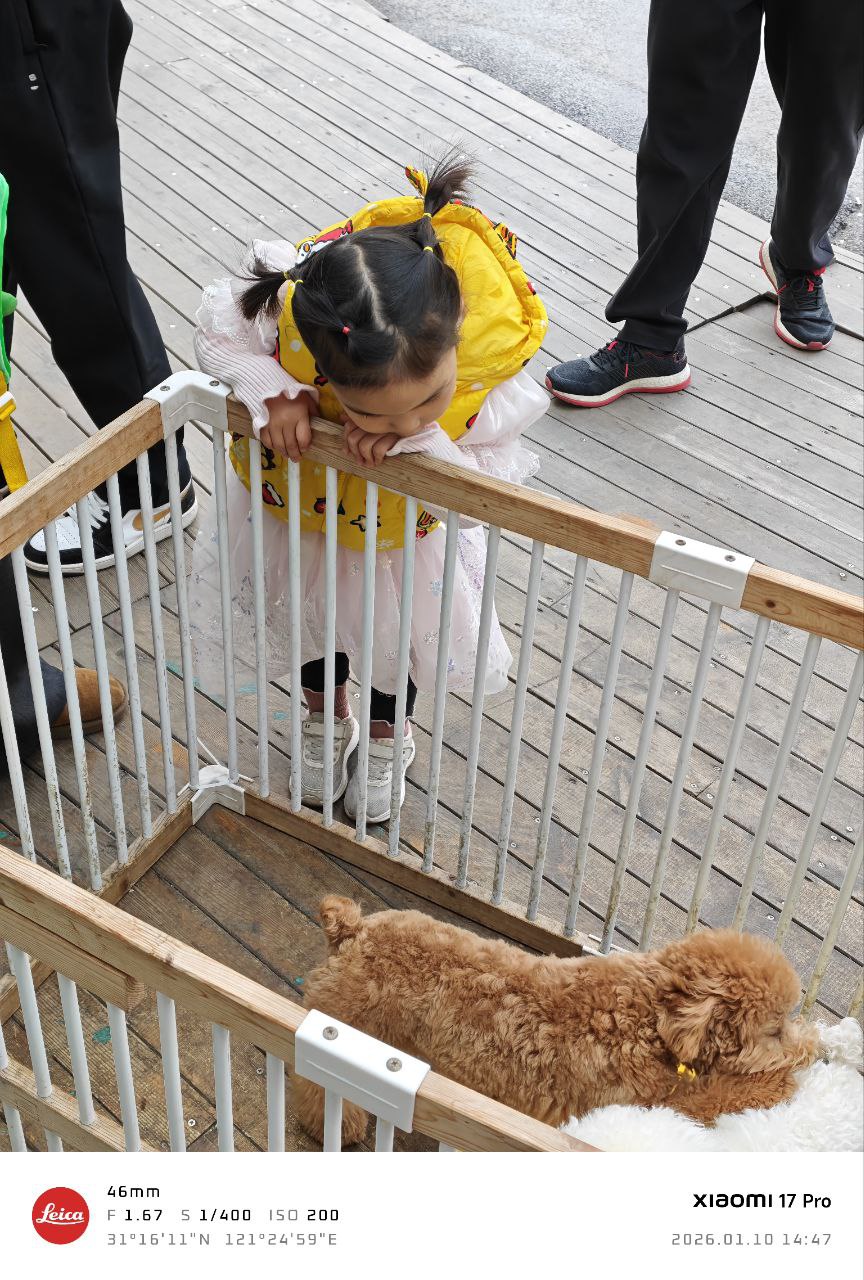 周末花鸟市场图片2