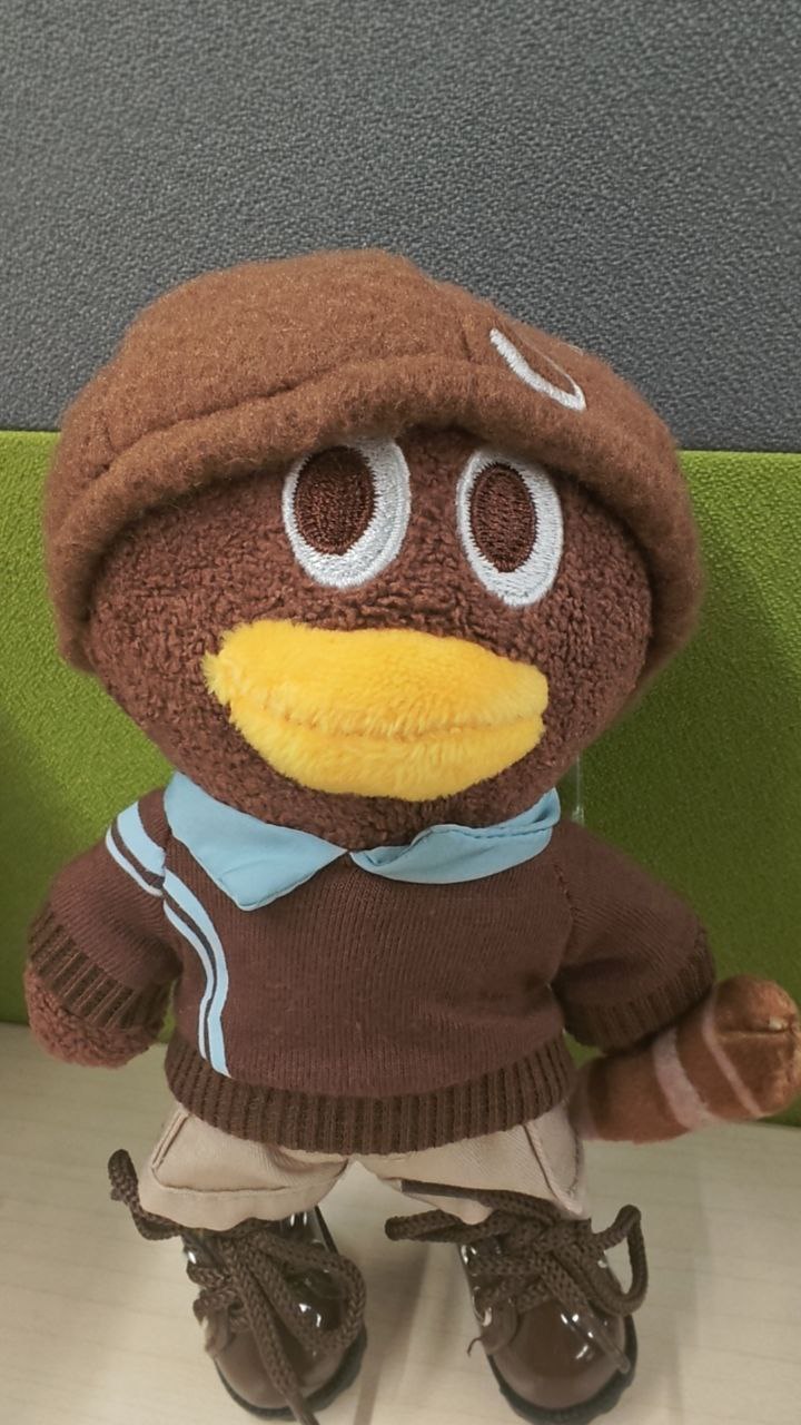 两只鹅的不同角度