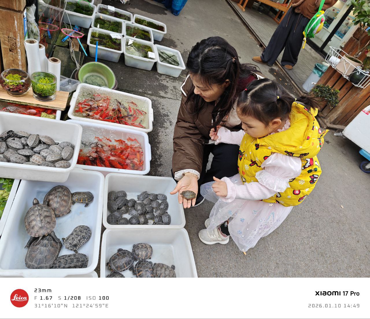 周末花鸟市场图片3