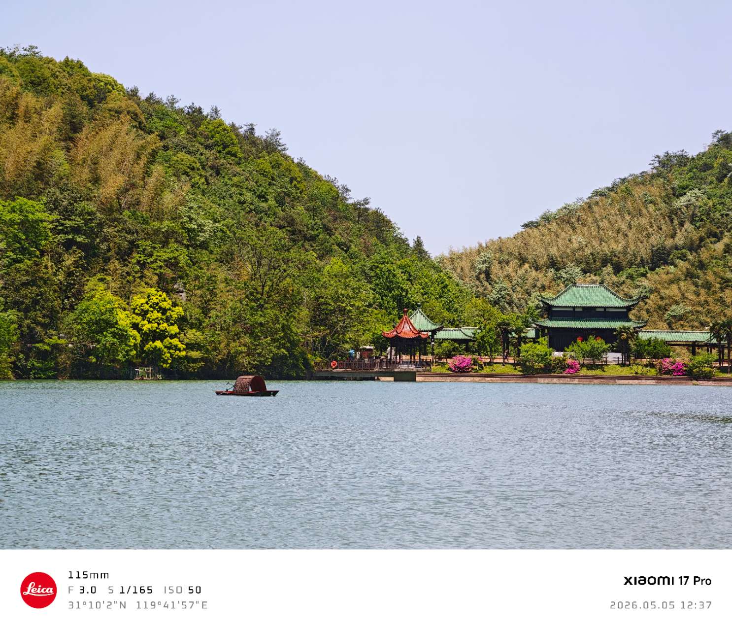 竹海远眺